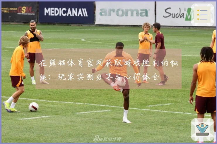 在熊猫体育官网获取游戏胜利的秘诀：玩家实测分享与心得体会